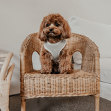 Matcha┃Bouclé Adjustable Harness
