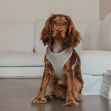 Matcha┃Bouclé Adjustable Harness
