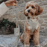 Matcha┃Bouclé Adjustable Harness