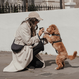 Midnight | Bouclé Walking Bag
