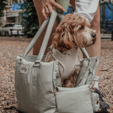 Matcha┃The Puffer Carrier