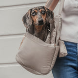 Hazelnut┃The Puffer Carrier