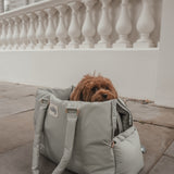 Matcha┃The Puffer Carrier