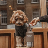 The Bowl Bottle 2.0 | 3-in-1 Travel Bottle