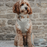 Matcha┃Bouclé Adjustable Harness