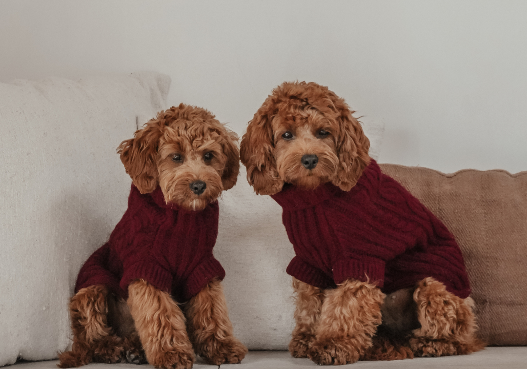 Knitwear