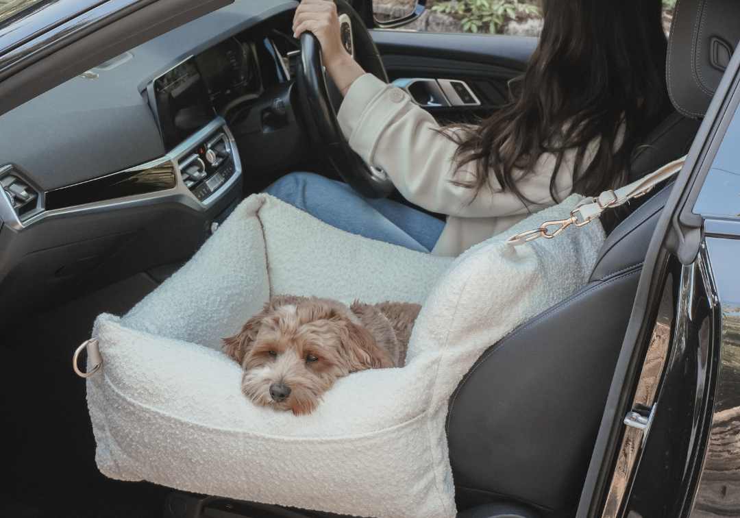 Car Seats