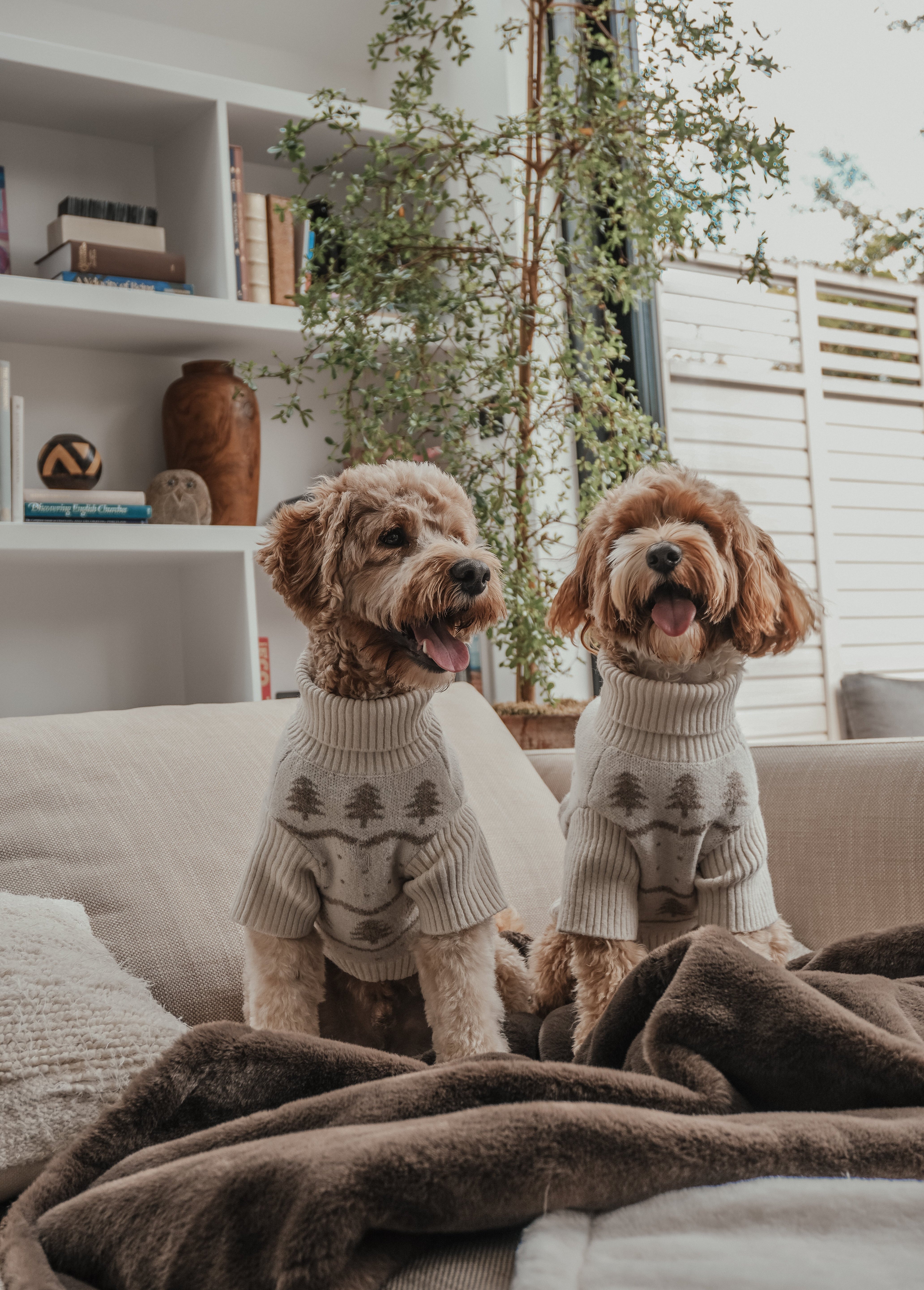 The Capsule Wardrobe