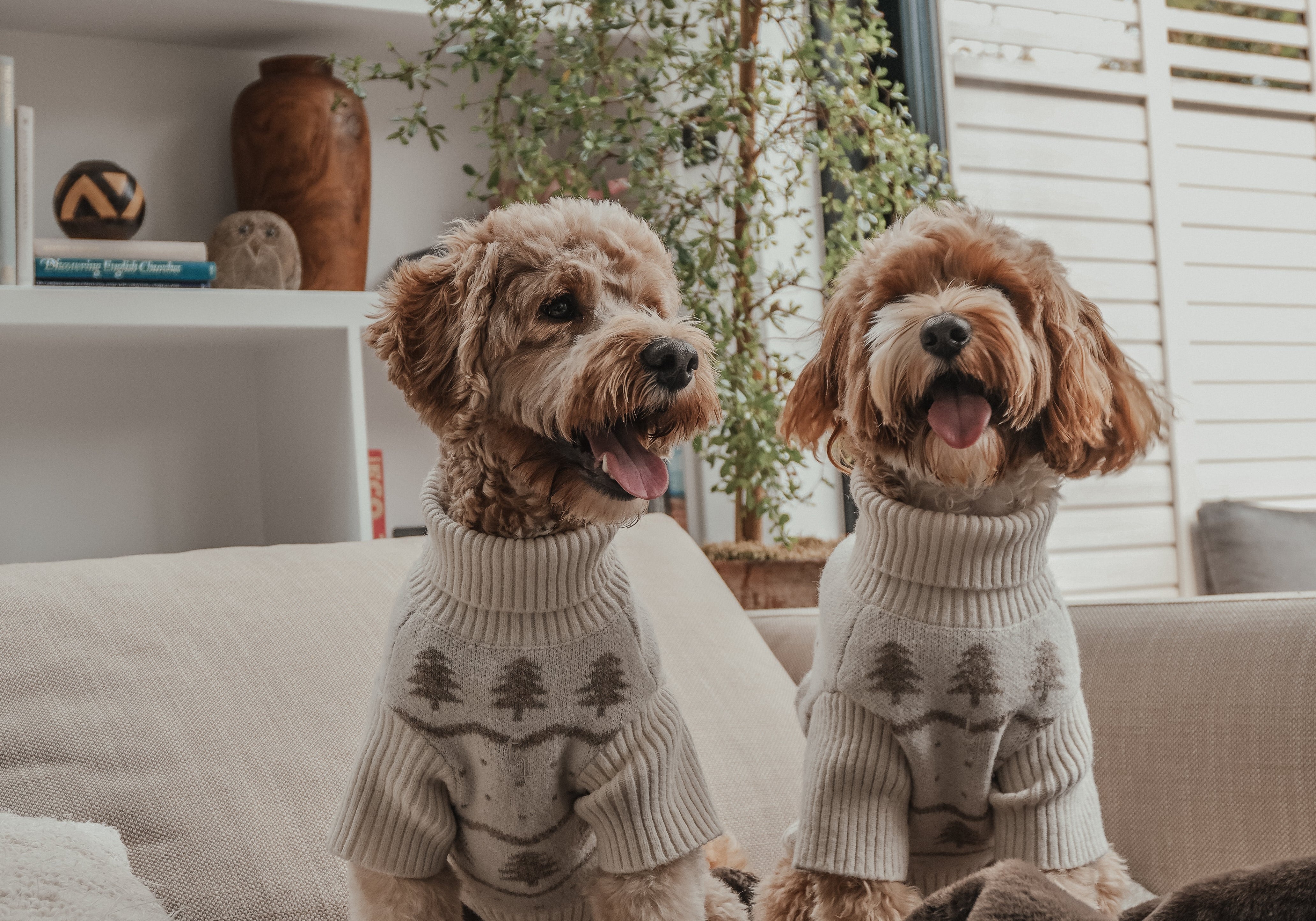 Knitwear