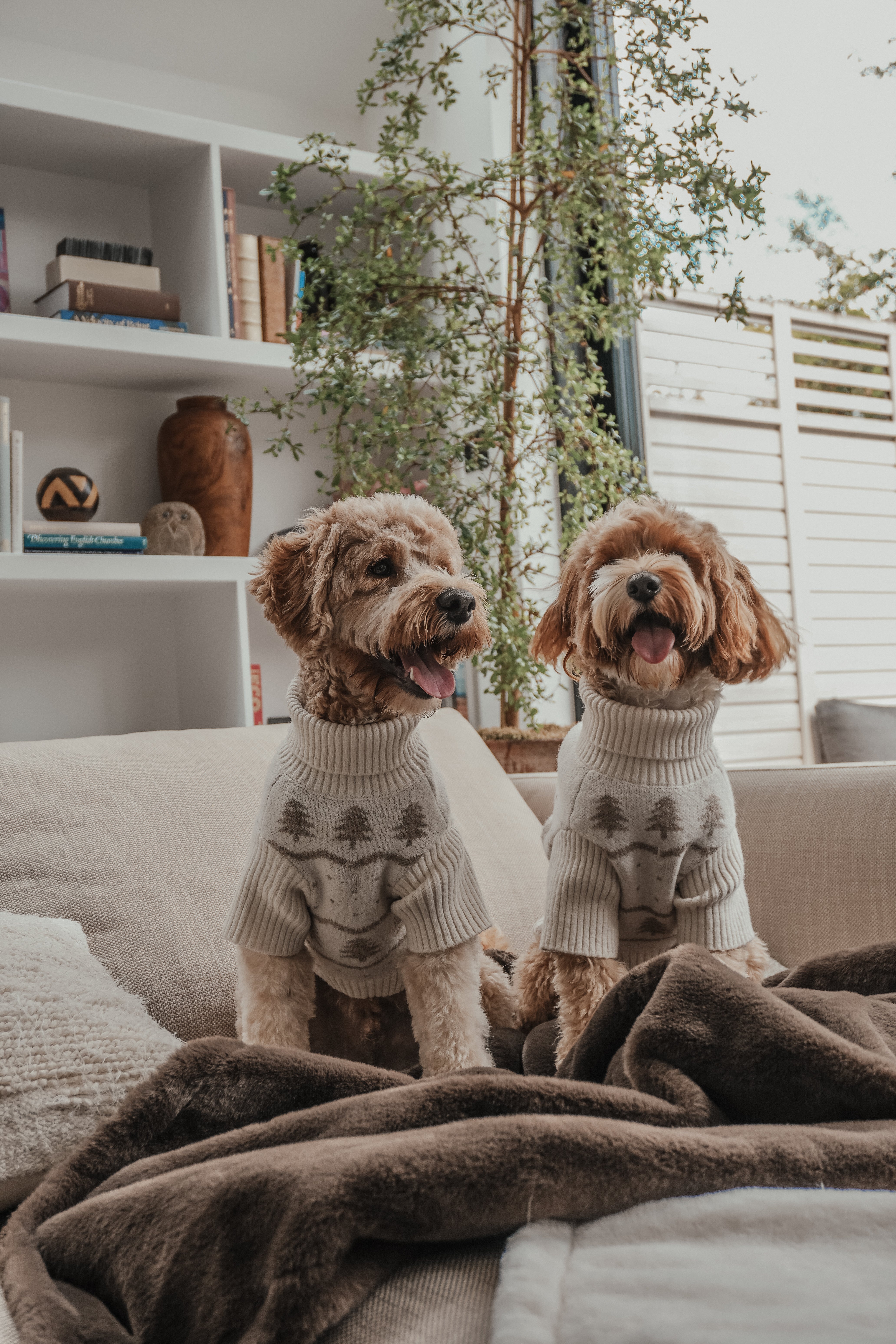 Jumpers