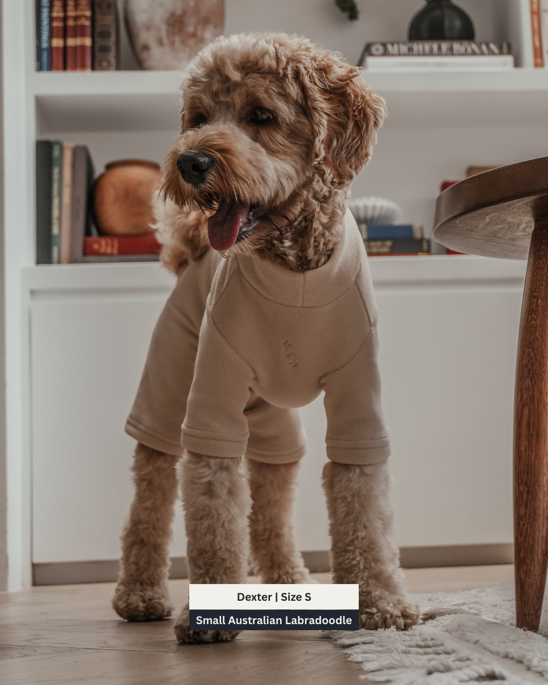 Hazelnut | The Capsule Fleece Bodysuit