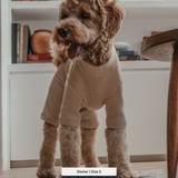 Hazelnut | The Capsule Fleece Bodysuit
