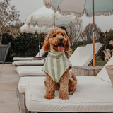 Matcha Stripe | The Cosy Cloak Drying Robe