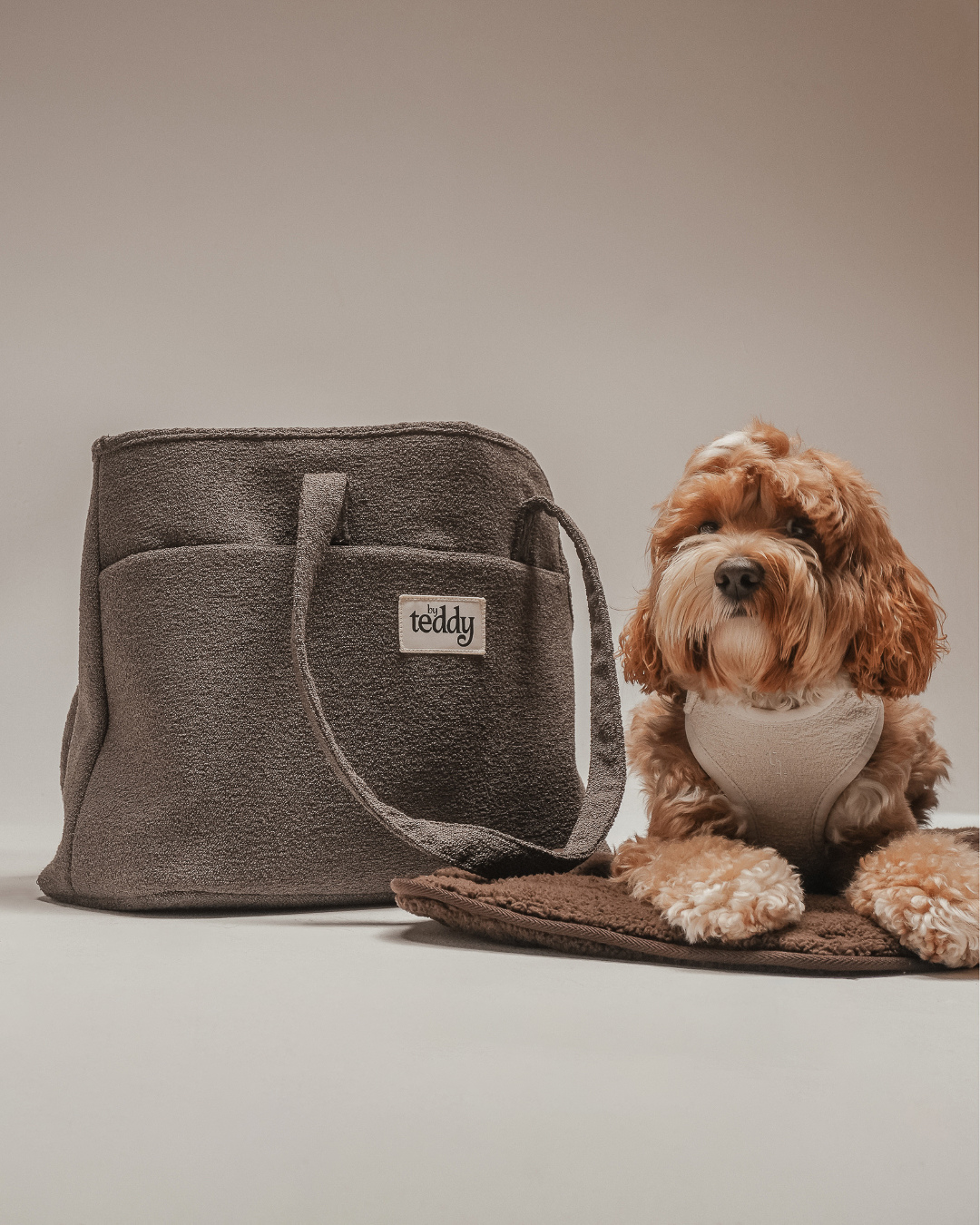 Chocolate┃The Bouclé Carrier