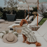 Matcha Stripe | The Cosy Cloak Drying Robe