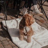 Marshmallow | The Quilted Settle Mat Tote