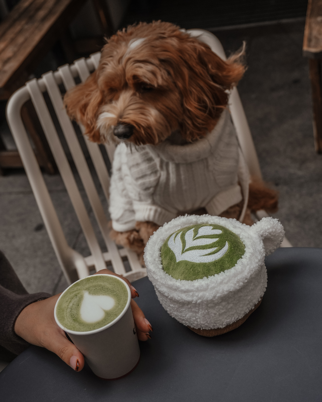 Matcha Latte Cup Toy