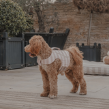 The Tide Rider Life Jacket