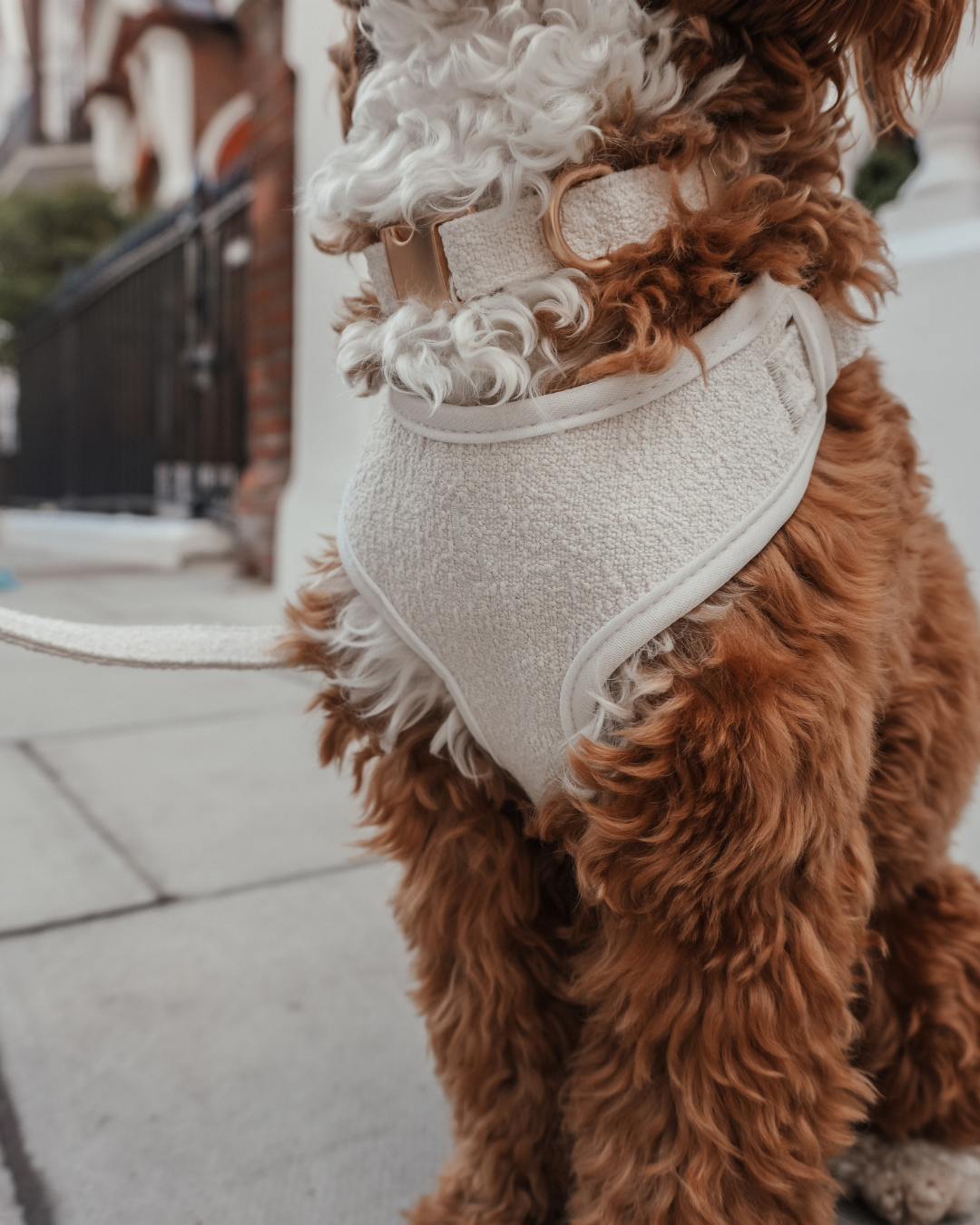 Marshmallow┃Bouclé Adjustable Harness