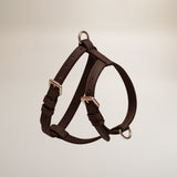 Chocolate┃Studio Step-In Harness