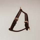 Chocolate┃Studio Step-In Harness