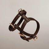 Chocolate┃Studio Step-In Harness