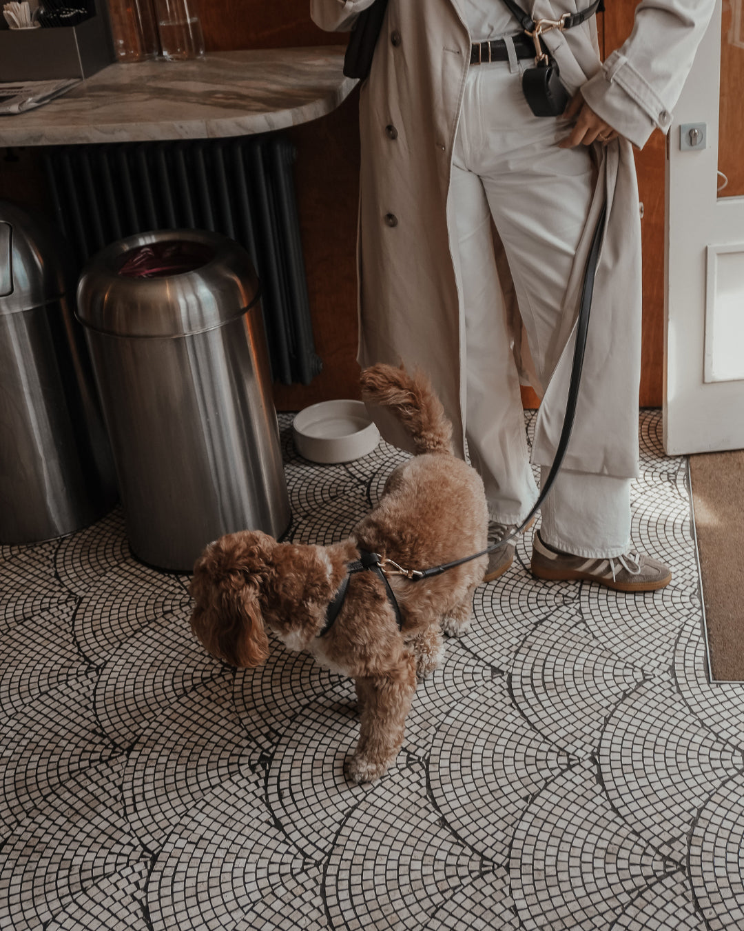 Chocolate┃Studio Step-In Harness
