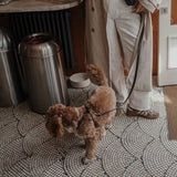 Chocolate┃Studio Step-In Harness