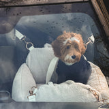 The Cosy Car Seat