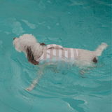 The Tide Rider Life Jacket