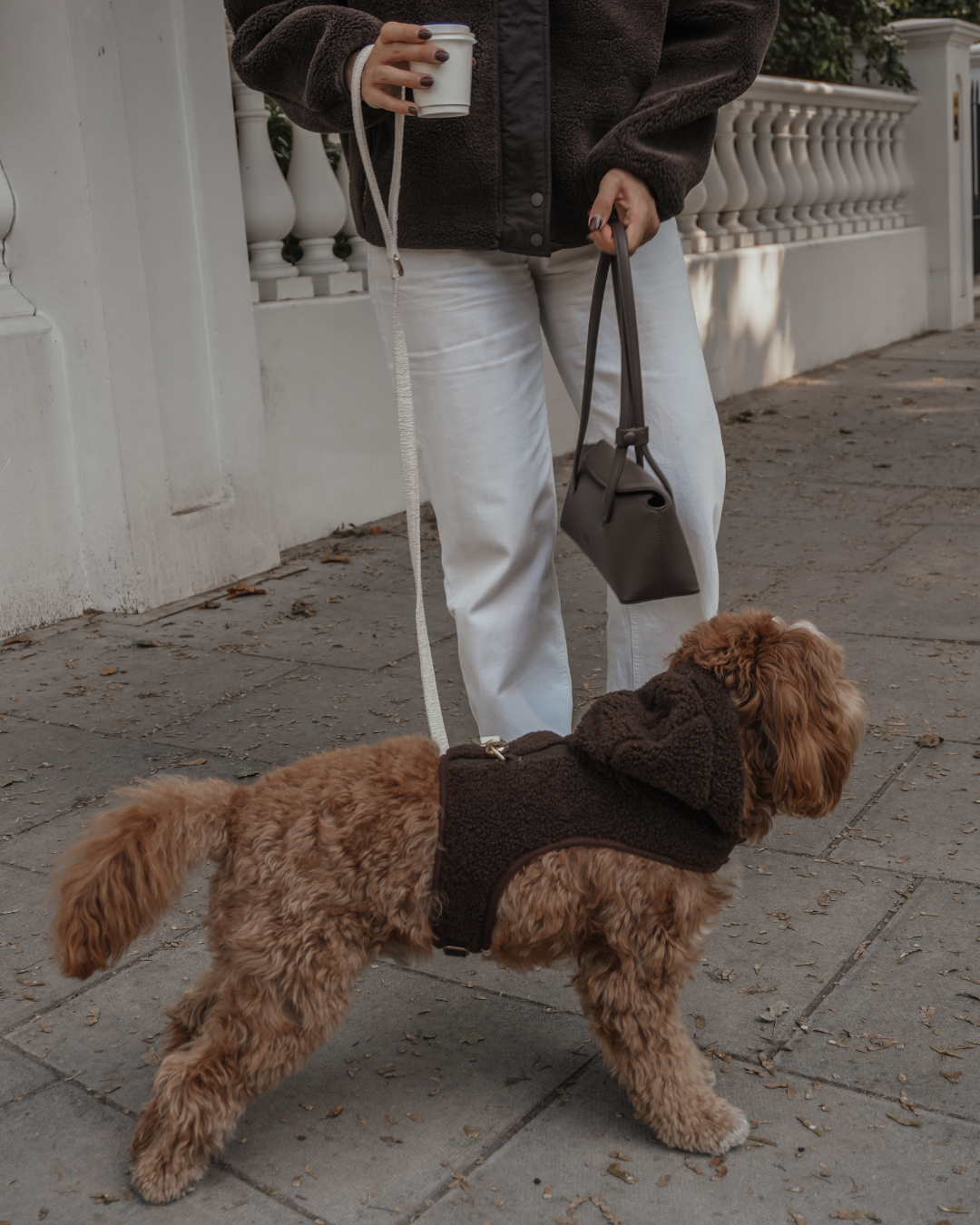 Chocolate | The Cosy Hoodie Harness