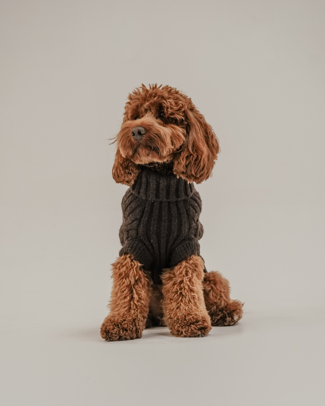 Chocolate | The Capsule Cable Knit