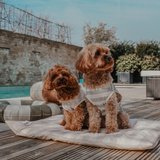 Summer Breeze Cooling Mat