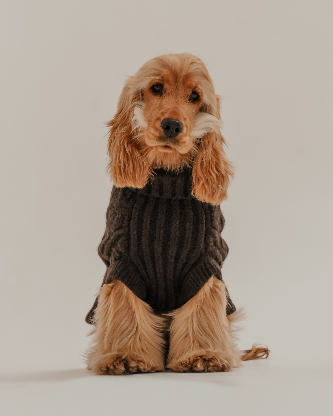 Chocolate | The Capsule Cable Knit