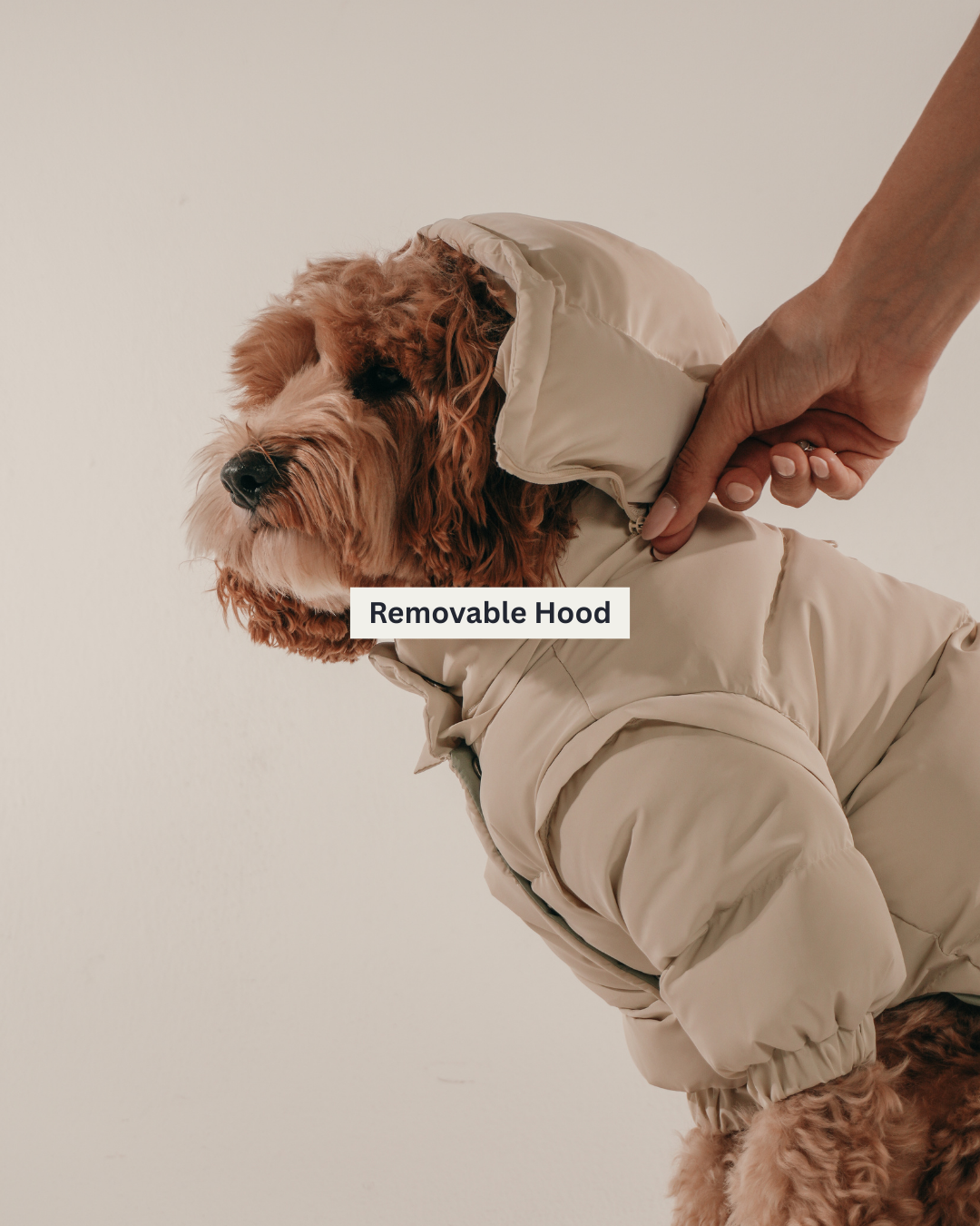 Marshmallow | The Modular Puffer
