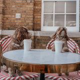 Hazelnut┃Studio Step-In Harness