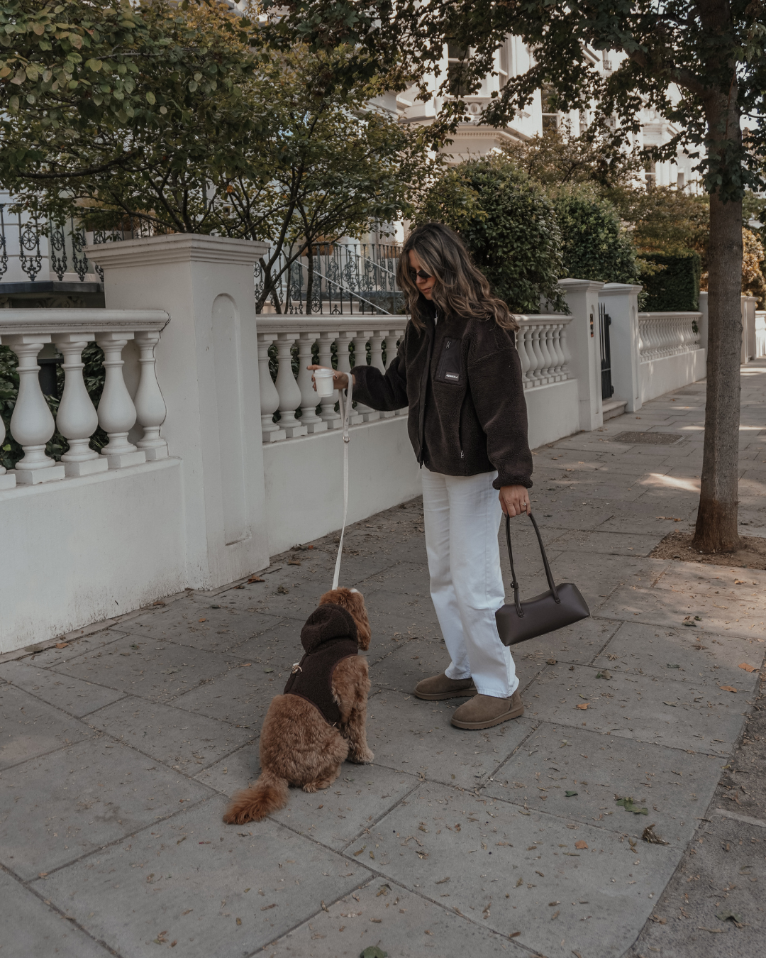 Chocolate | The Cosy Hoodie Harness