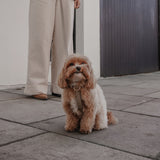 Hazelnut┃Studio Step-In Harness