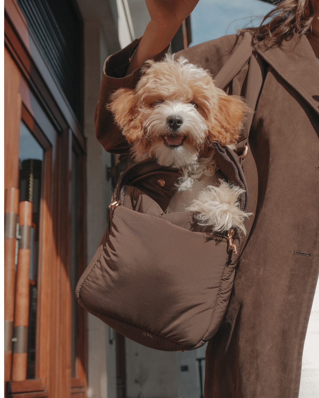 Chocolate┃The Puffer Carrier