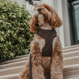 Chocolate┃Bouclé Adjustable Harness
