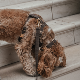 Chocolate┃Bouclé Adjustable Harness