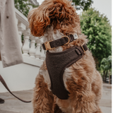 Chocolate┃Bouclé Adjustable Harness