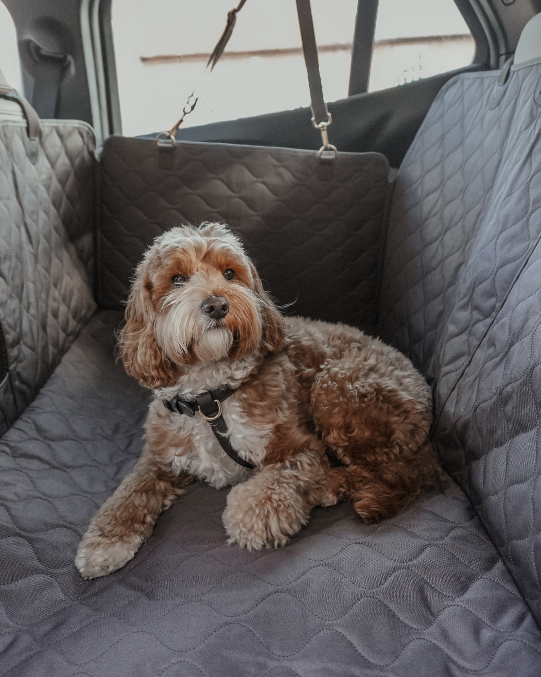 The Quilted Car Hammock