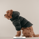 Midnight | The Modular Puffer