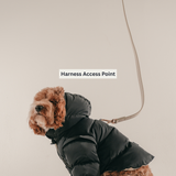 Midnight | The Modular Puffer