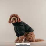 Midnight | The Modular Puffer