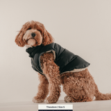 Midnight | The Modular Puffer