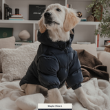 Midnight | The Modular Puffer