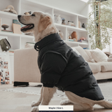 Midnight | The Modular Puffer
