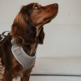 Matcha┃Bouclé Adjustable Harness